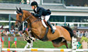 Horse Jumper | Horse Transportation